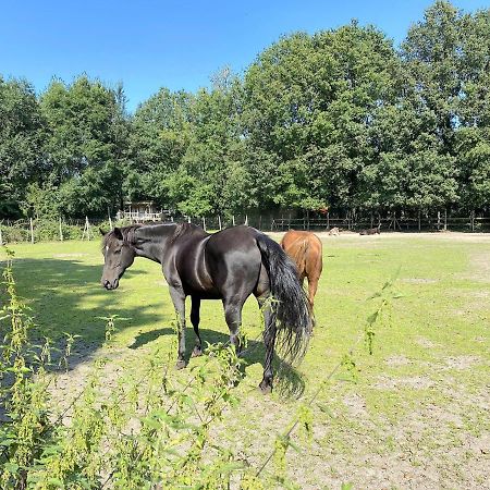 Villa Pipowagen Het Oventje à Zélande Extérieur photo