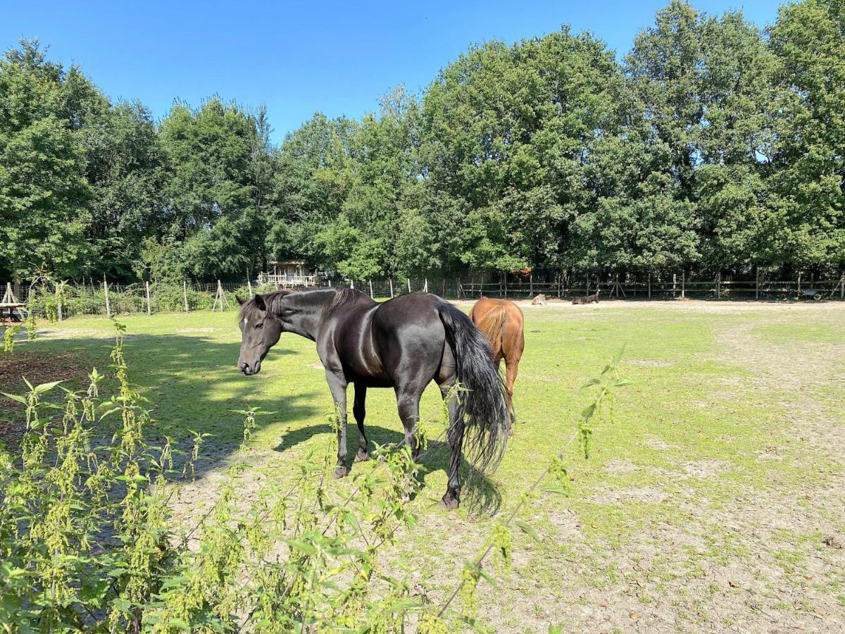 Villa Pipowagen Het Oventje à Zélande Extérieur photo